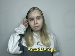 Accadavidge