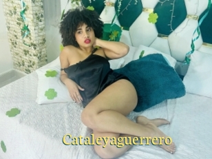 Cataleyaguerrero