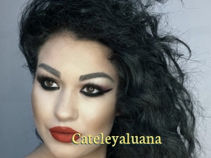 Cateleyaluana