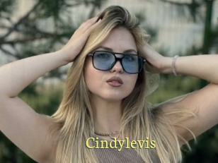 Cindylevis