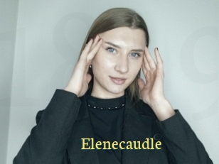 Elenecaudle