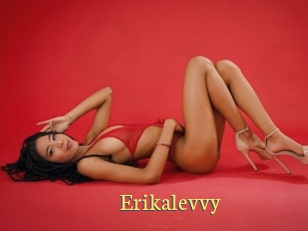 Erikalevvy