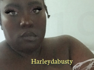 Harleydabusty