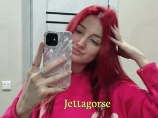 Jettagorse