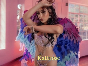 Kattrose