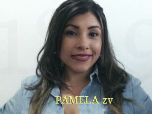 PAMELA_zv