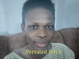 Pervated_bitch