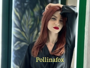 Pollinafox