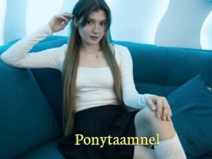 Ponytaamnel