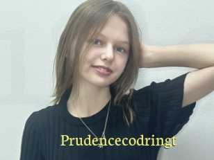 Prudencecodringt