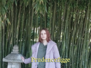 Prudencefigge