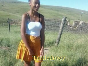 Turtledovey