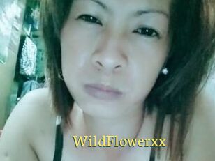 WildFlowerxx